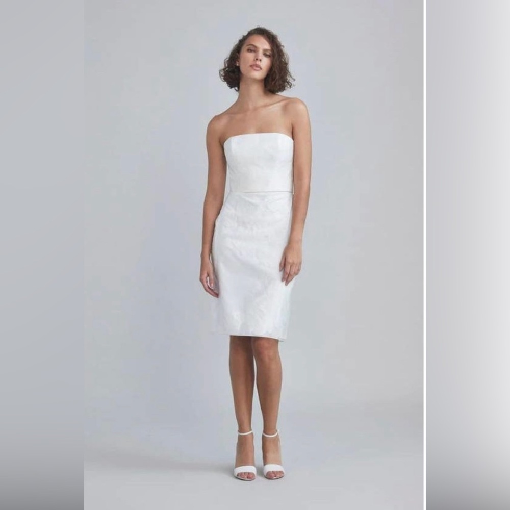 Amsale Rose Fil-Coupe cocktail dress